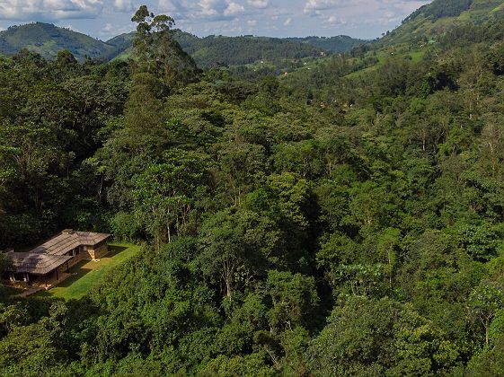 Bwindi Lodge vue du ciel