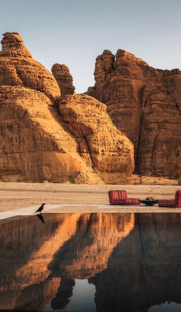 Banyan Tree AlUla