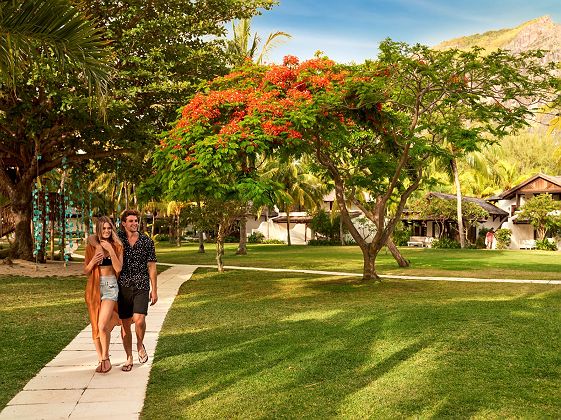 Lux Le morne