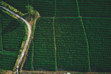 Route à Bali