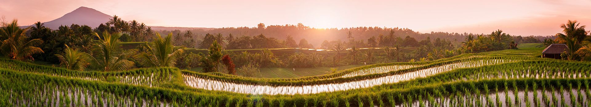 Rizières au coucher du soleil - Bali, Indonésie