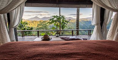 Banyan Tree Buahan
