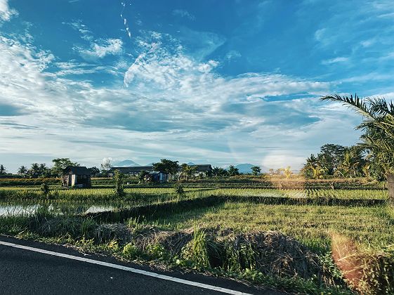 Route à Bali