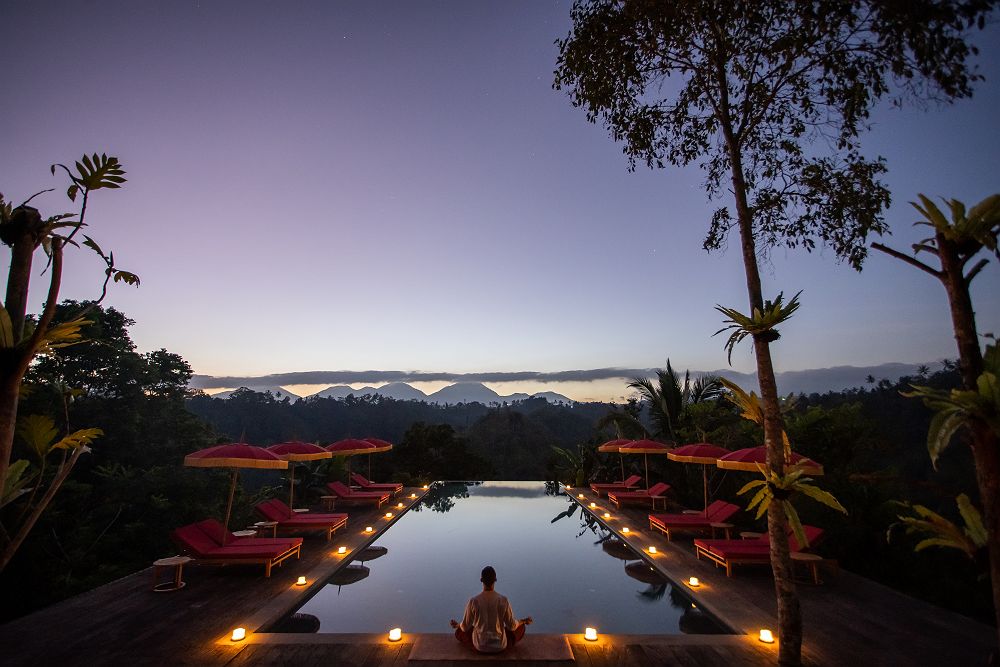 Banyan Tree Buahan