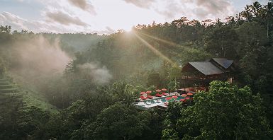 Banyan Tree Buahan