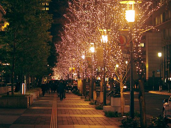 Hiver à Tokyo