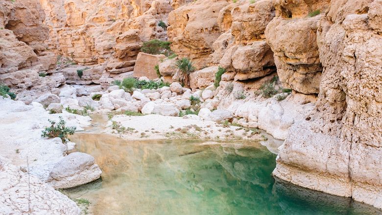 Wadi Shab 
