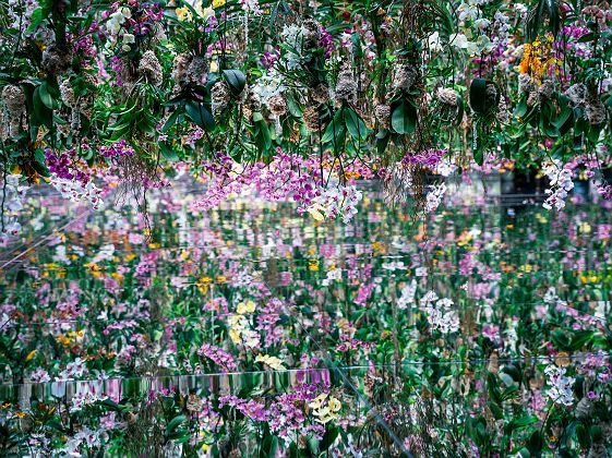 TeamLab Planets