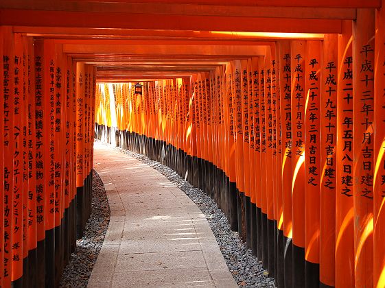 Les torii du sanctuaire Fushimi Inari-taisha - Japon