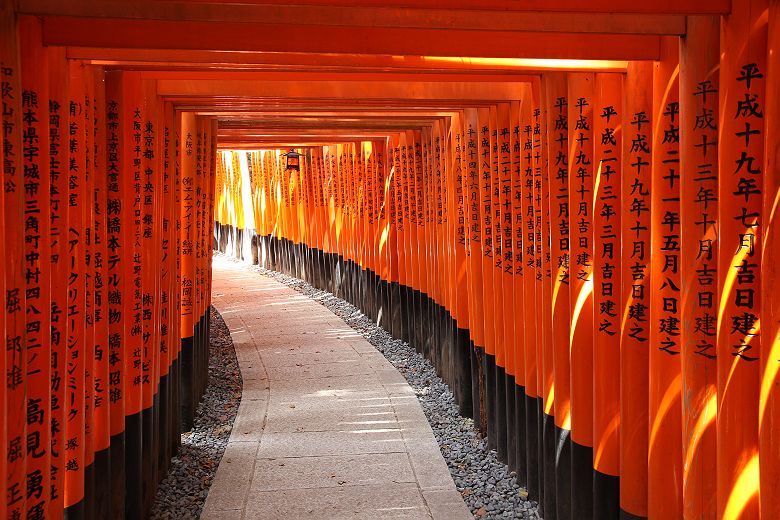 Les torii du sanctuaire Fushimi Inari-taisha - Japon