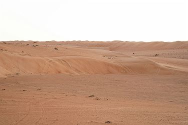 Désert du Wahiba