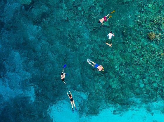 Snorkeling îles Daymaniyat groupe