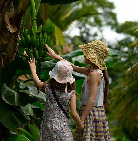 Costa Rica en famille