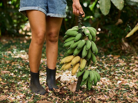 Femme tenant des bananes