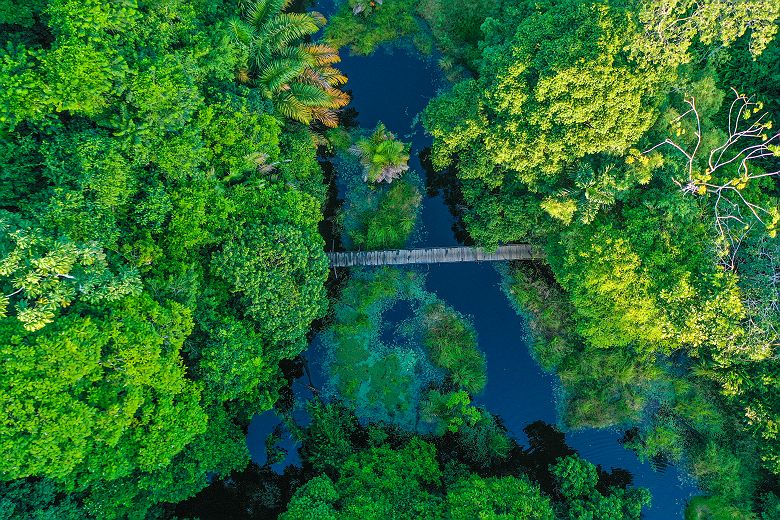 Maquenque Ecolodge
