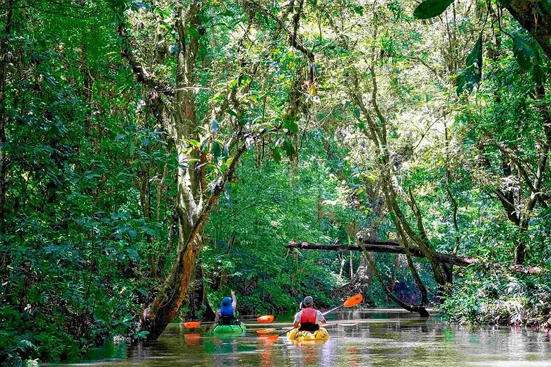 Excursion en kayak sur le Rio Tres Amigos - Maquenque Ecolodge