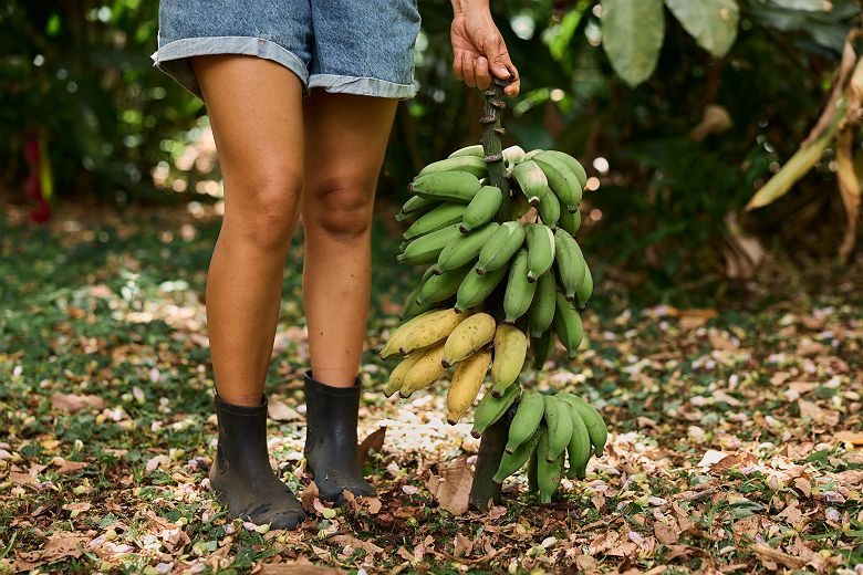 Femme tenant des bananes