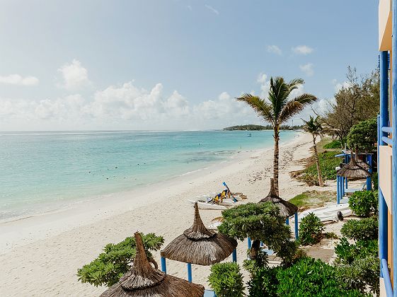 SALT of Palmar Maurice