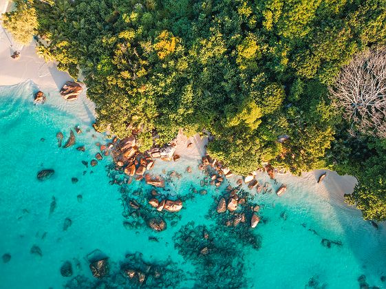 j10   praslin   ot seychelles