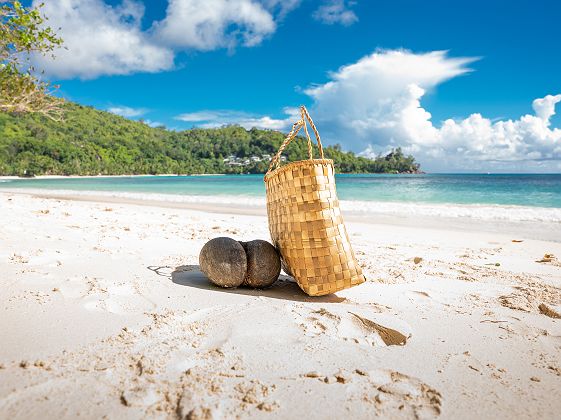 j6   ot seychelles