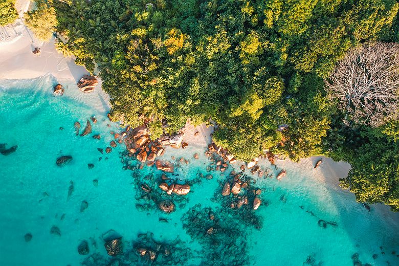 j10   praslin   ot seychelles