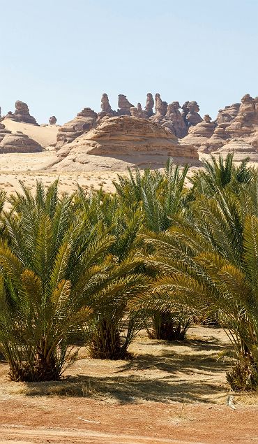 Accroche - Dunes et Lagons - Desert Abu Dhabi EAU