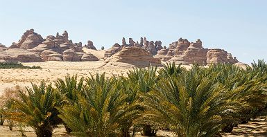 Accroche - Dunes et Lagons - Desert Abu Dhabi EAU