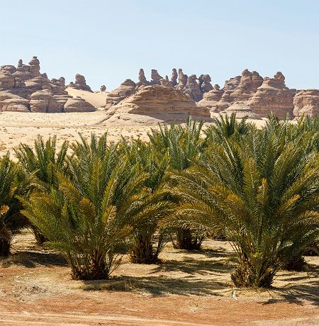 Accroche - Dunes et Lagons - Desert Abu Dhabi EAU