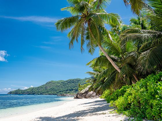 J11 - Elegance sauvage et tropicale - JA Enchanted Seychelles