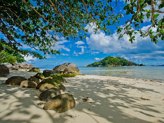 J7 - Elegance sauvage et tropicale - JA Enchanted Seychelles