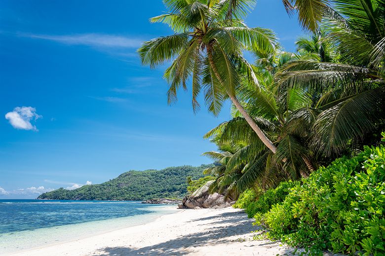 J11 - Elegance sauvage et tropicale - JA Enchanted Seychelles