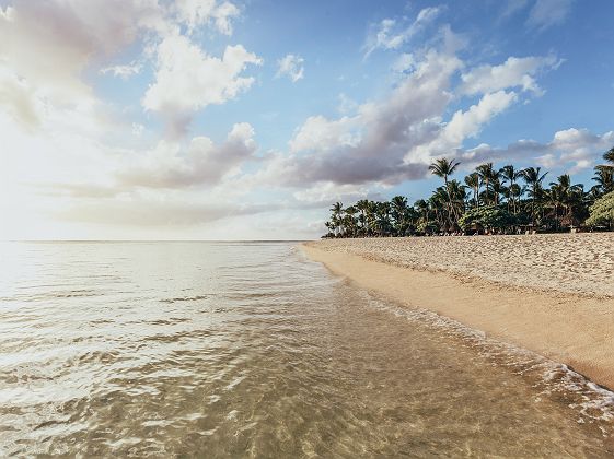 	
La Pirogue - île Maurice