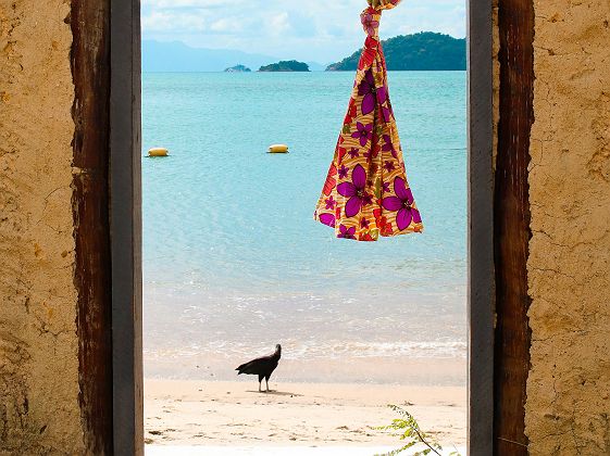 Ilha Grande