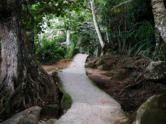 Ilha Grande - Brésil