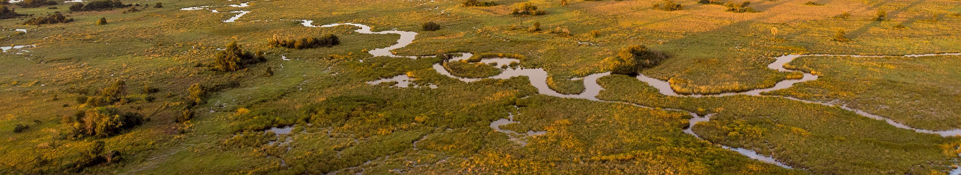 Vue aérienne sur les méandres du Delta de l'Okavango - Desert & Delta