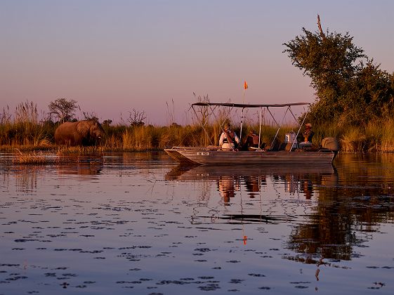 Safari aquatique dans la Moremi Game Reserve - Desert & Delta