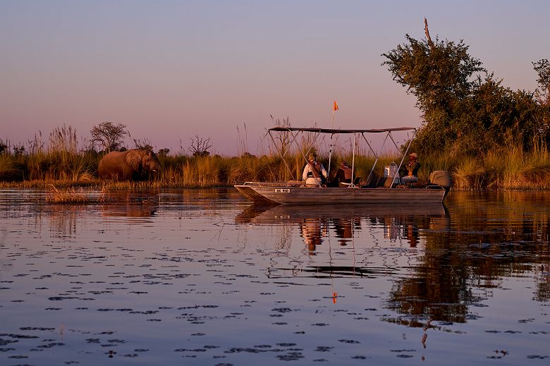 Safari aquatique dans la Moremi Game Reserve - Desert & Delta