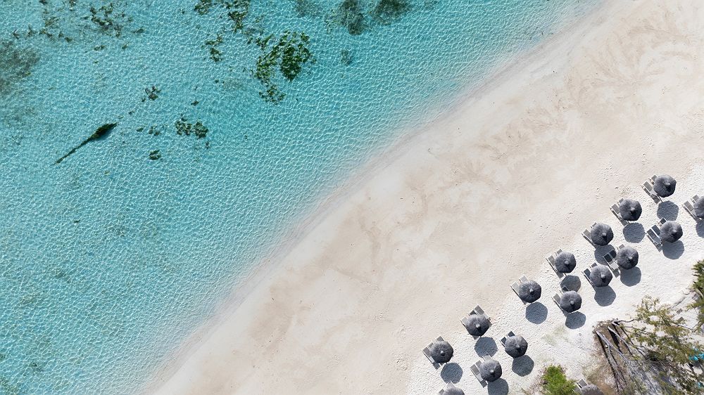 C Mauritius Palmar 