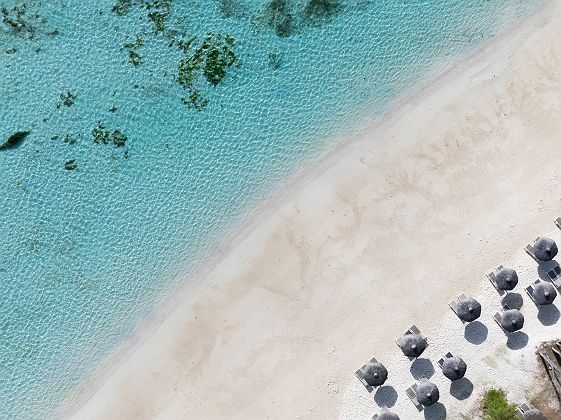 C Mauritius Palmar 