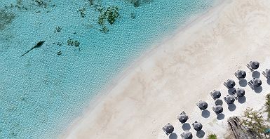 C Mauritius Palmar - Accroche - île Maurice