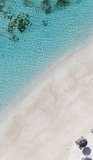 C Mauritius Palmar - Accroche - île Maurice