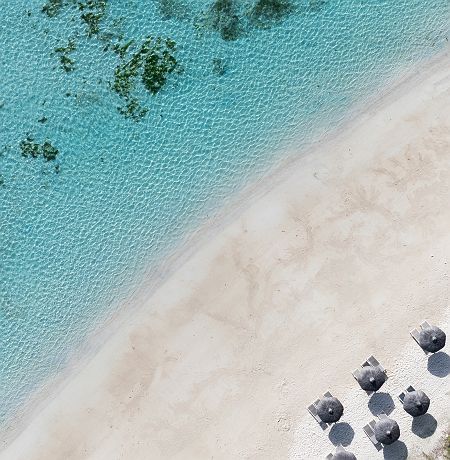 C Mauritius Palmar - Accroche - île Maurice