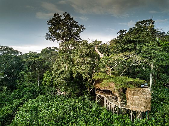 Vue sur Ngaga Lodge by Kamba