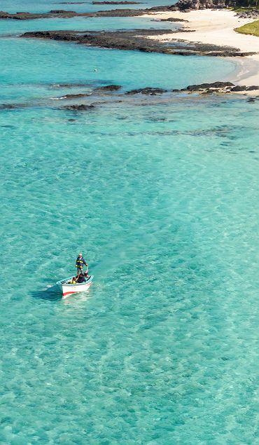 Constance Tekoma Rodrigues - île Maurice Rodrigues - Accroche