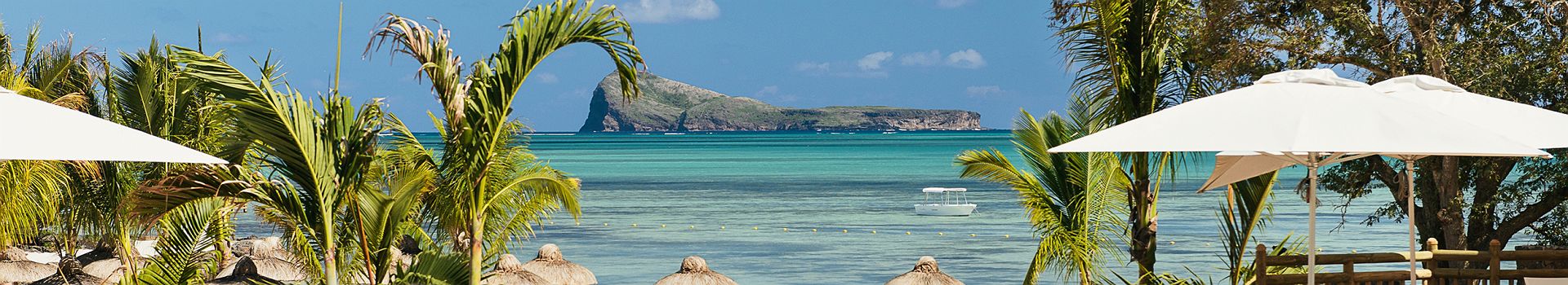 Zilwa Attitude - Pano - île Maurice