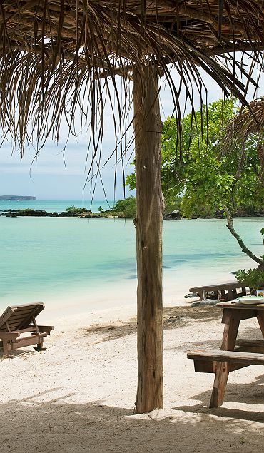 Zilwa Attitude - Accroche - île Maurice