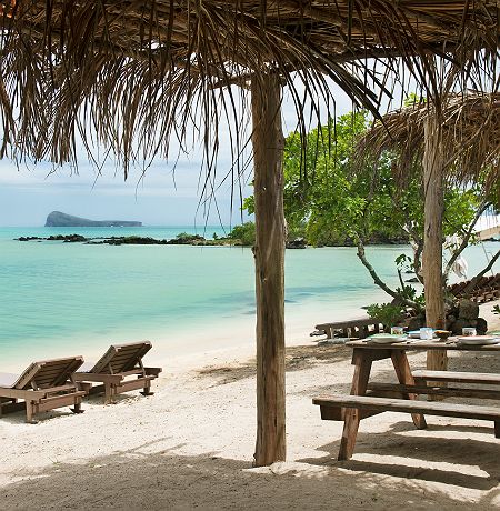 Zilwa Attitude - Accroche - île Maurice