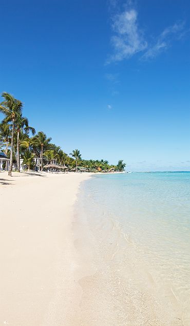 Heritage Telfair - Accroche - île Maurice
