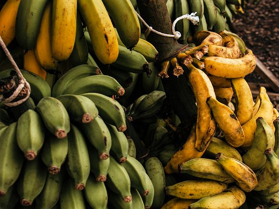 Étale de bananes dans un marché local