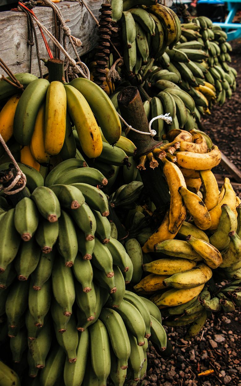 Étale de bananes dans un marché local